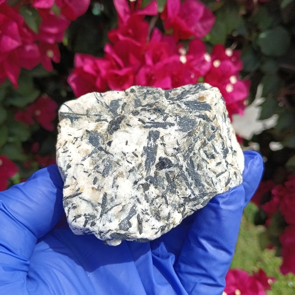 Black Tourmaline on White Quartz - Picture 4 of 7